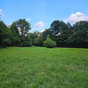 chriscoe.field10
