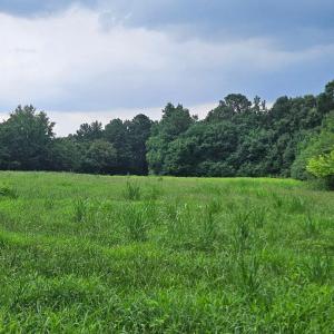 chriscoe.field8