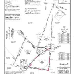 Chriscoe.Survey.plat.east.block