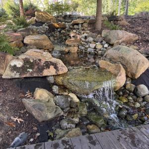 Stonecrest Scenery