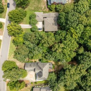 02-244 Brown Bear Drone-12