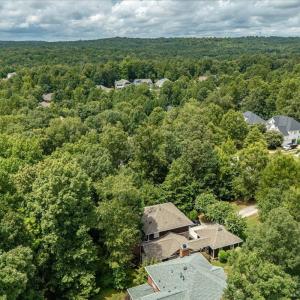 08-244 Brown Bear Drone-05