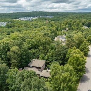 09-244 Brown Bear Drone-04