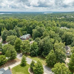 01-244 Brown Bear Drone-11