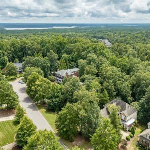 03-244 Brown Bear Drone-10