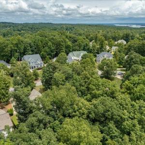 06-244 Brown Bear Drone-07