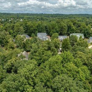 07-244 Brown Bear Drone-06