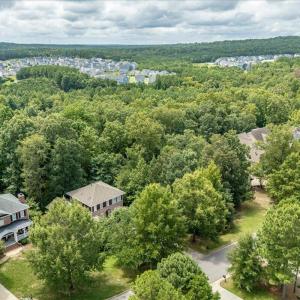 10-244 Brown Bear Drone-03