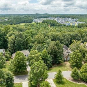 11-244 Brown Bear Drone-02