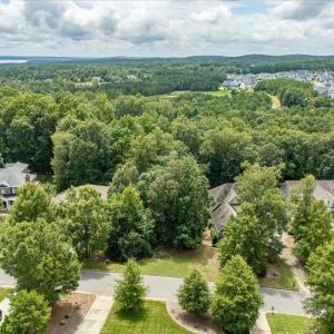 12-244 Brown Bear Drone-01