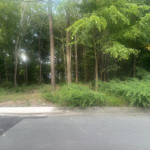 52FE1F68-7AD3-48E2-91D4-53C163EA4A73