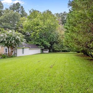 8-web-or-mls-P1078521