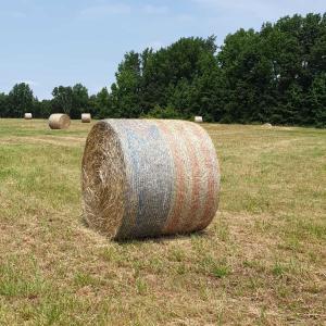 IMG-20240617-WA0004_192176675759292