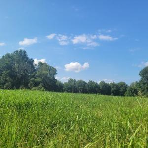 Resized_20250818_164756