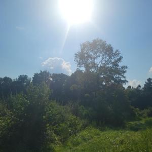 Resized_20250818_165301