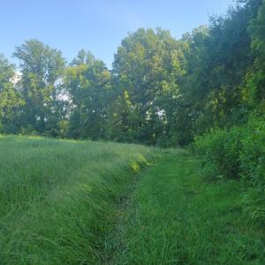 Resized_20250818_165545