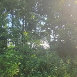 Resized_20250818_165756