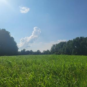 Resized_20250818_164832