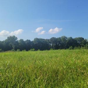 Resized_20250818_165321