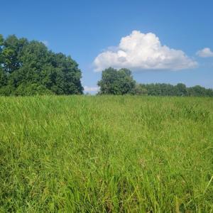 Resized_20250818_165325