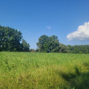 Resized_20250818_165452