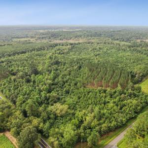 1-web-or-mls-DJI_0020