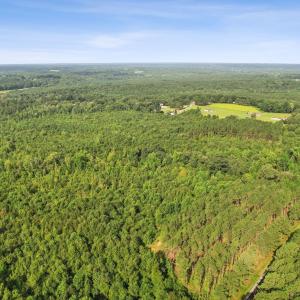 6-web-or-mls-DJI_0035