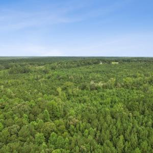 7-web-or-mls-DJI_0042