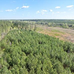 07-DJI_0879