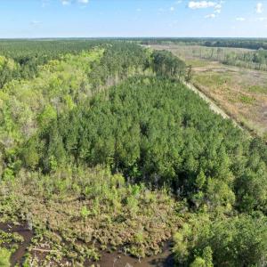 09-DJI_0885