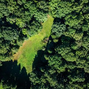 DJI_20250618090115_0244_D2
