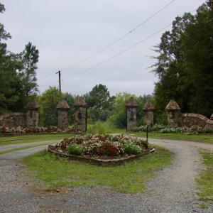 DSCN3331