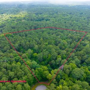 001-105Pennington-Lot64-Windfall-2025061