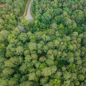 015-105Pennington-Lot64-Windfall-2025061