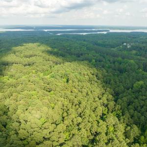 012-105Pennington-Lot64-Windfall-2025061