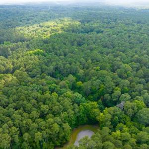 005-105Pennington-Lot64-Windfall-2025061
