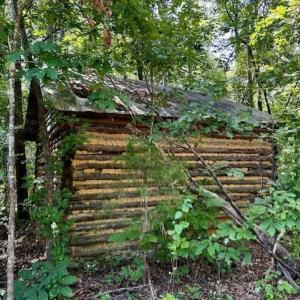 LOT 3-GRAPEVINE LOG BARN