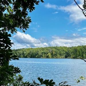 LOT 3 GRAPEVINE DR-VIEW FROM LOT