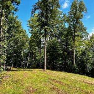 LOT 3 GRAPEVINE DR-CLEARED AREA