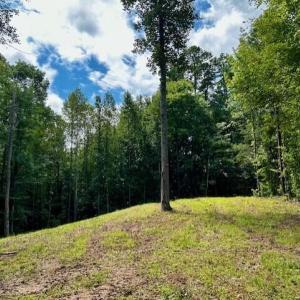 LOT 3 GRAPEVINE DR-CLEARED AREA 2