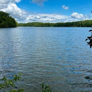 LOT 3 GRAPEVINE DR-VIEW FROM LOT 3