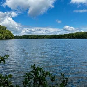 LOT 3 GRAPEVINE DR-VIEW FROM LOT 2