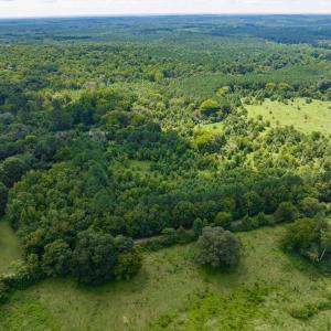 04-004-0ElmerKeckRd-20250815