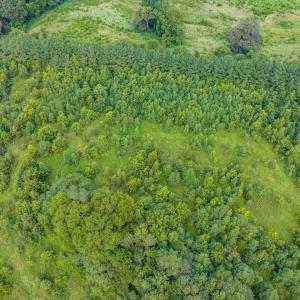 19-019-0ElmerKeckRd-20250815