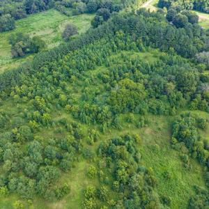 21-021-0ElmerKeckRd-20250815