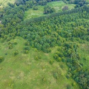 22-022-0ElmerKeckRd-20250815