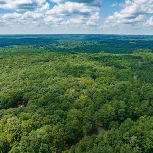 29-029-0ElmerKeckRd-20250818