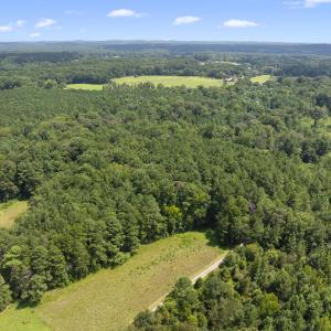DJI_20250818143529_0012_D