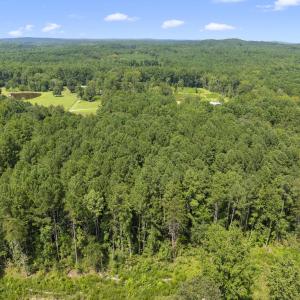 DJI_20250818143701_0033_D