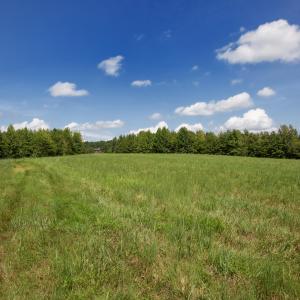 Weadon Road 7